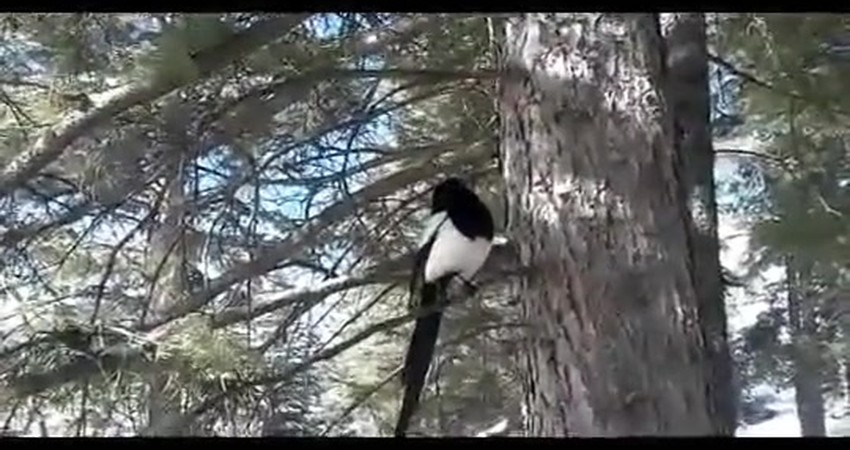 Embracing Change: A Positive Outlook for Our Future