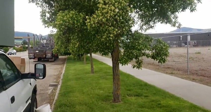 Building a High-Capacity Battery Storage Box for My Camper