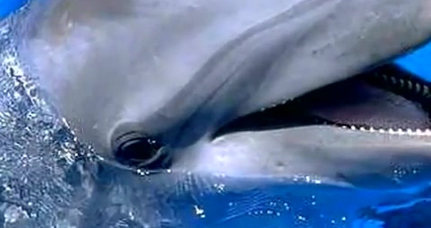 Embracing Soul Balance: A Journey Through Past Lives and Light Energy