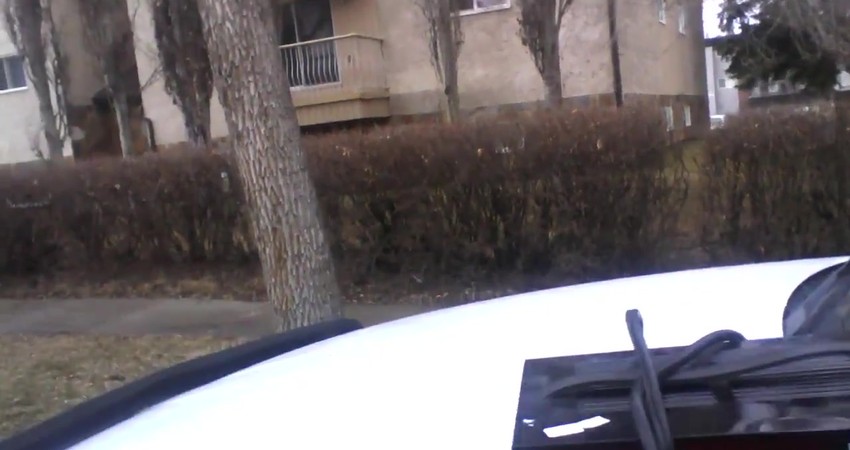 Bargain Hunting: Scoring a Powerful Battery Charger for Just $18!