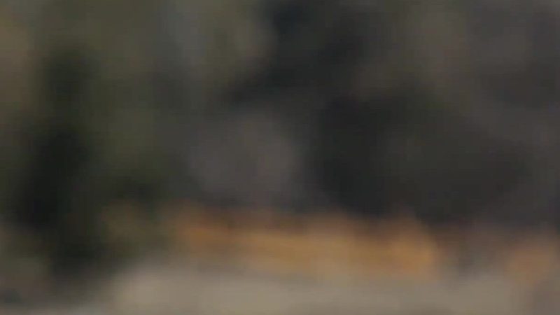 Discovering True Reality: What the Matrix Hides