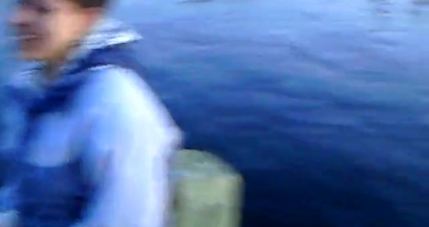 Alien Encounters: The Truth Behind Abductions and Implants