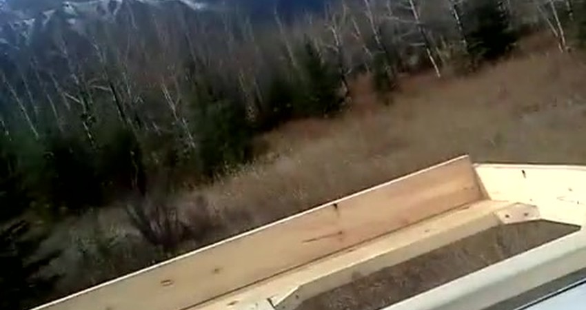 Building My Dream Project: Progress Update and Challenges Ahead