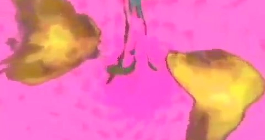 The Sound of Being: An Unconventional Journey