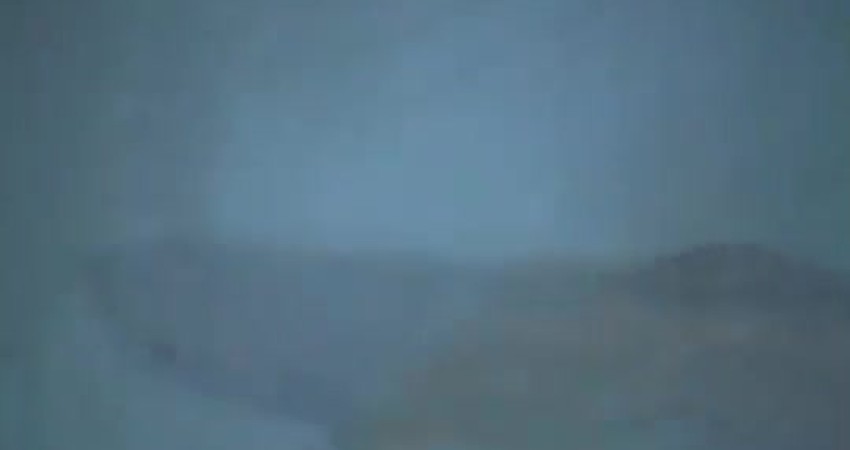 “The Thrill of the Slide: Endless Fun Down the Stairs