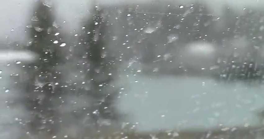 Embracing Nature’s Serenity: A Journey into Peace and Renewal