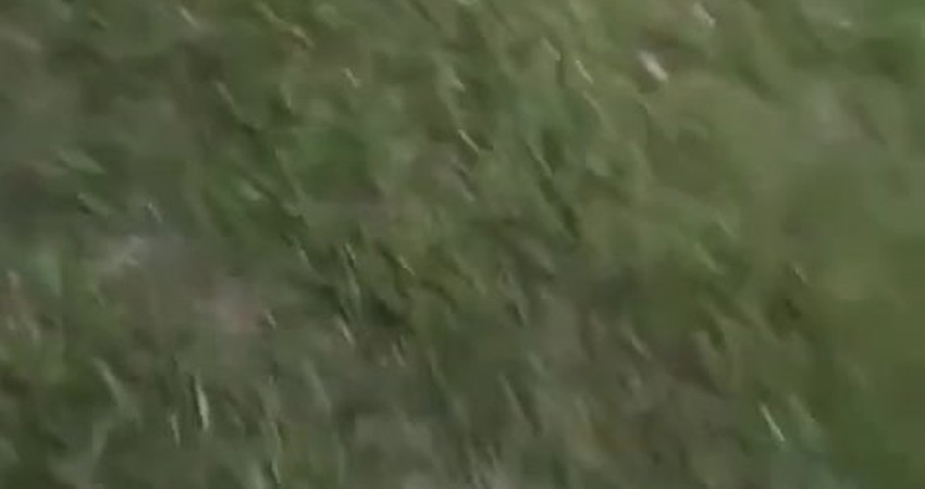 Preparing for the Unknown: My Journey with a Generator