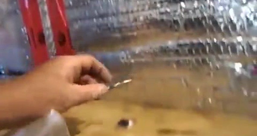 Salvaging Treasures: What I Kept from Discarded TVs