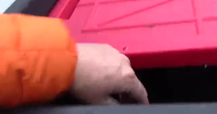 Clever Storage Solutions: Transforming Totes for Heavy and Food Items