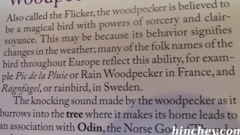 Unlocking Clarity: Transforming Unintelligible Content into Coherent Communication