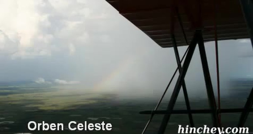 Embracing Friends in Disguise: Lessons from a Gurus Journey