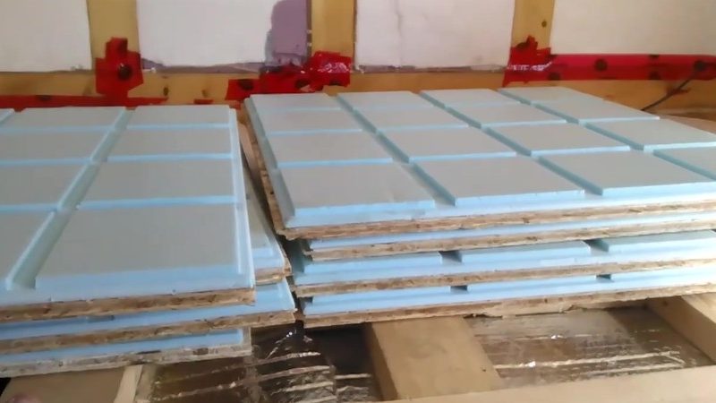 Innovative Solutions for Moisture Management in Camping: A Budget-Friendly Setup