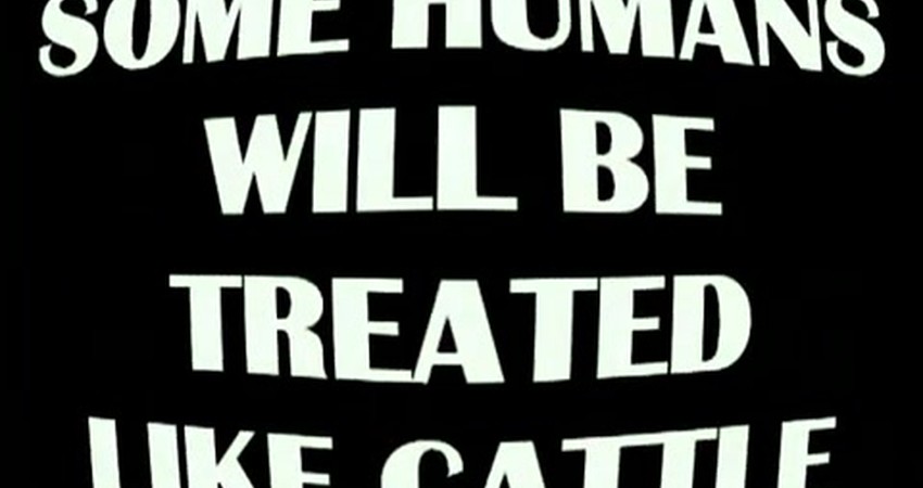 Embracing New Beginnings: Finding Clarity Amidst Confusion