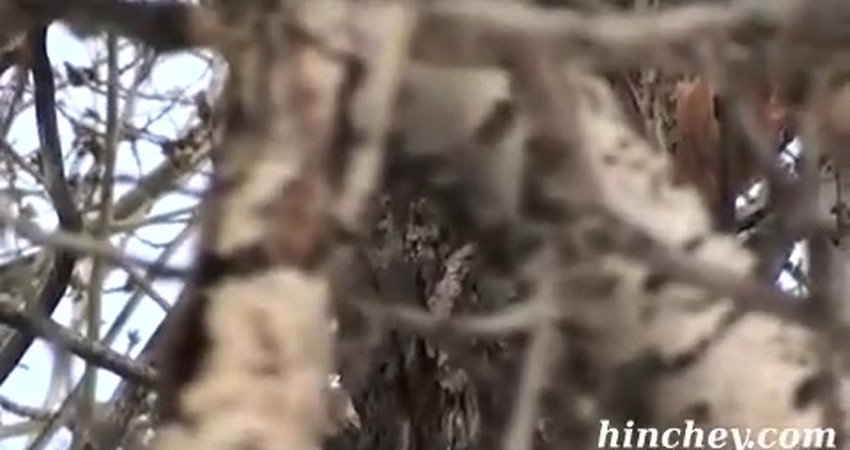 The Power of Experiential Validation: Insights from Nature and Channeling