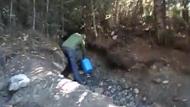 Refreshing Springs: The Hidden Gem of Banff