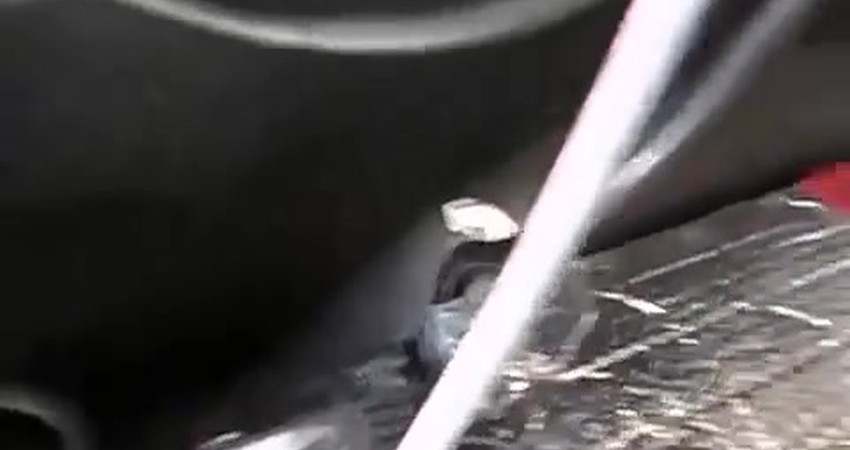 Building a Power System and Crafting a Healthy Smoothie